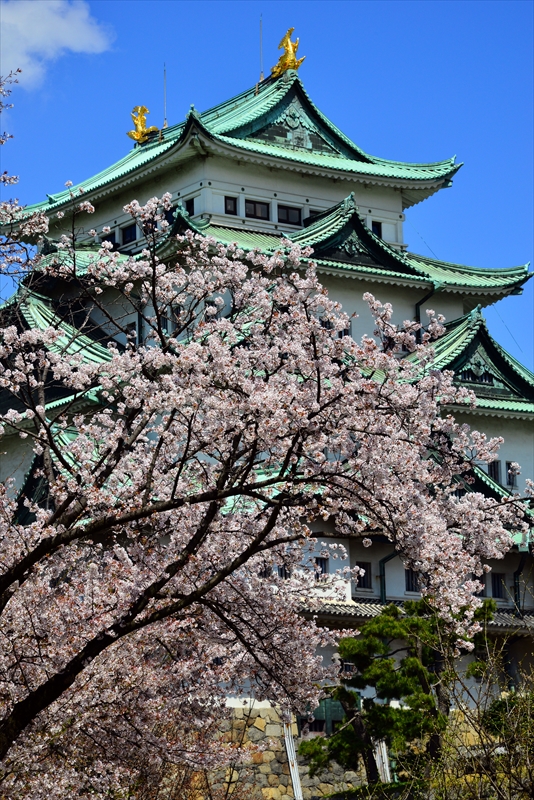 1009_名古屋城_愛知
