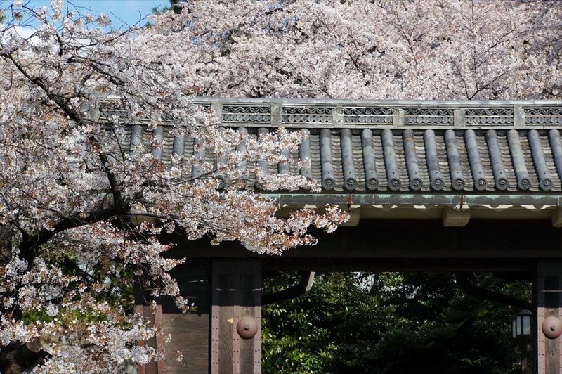 1022_名古屋城_愛知