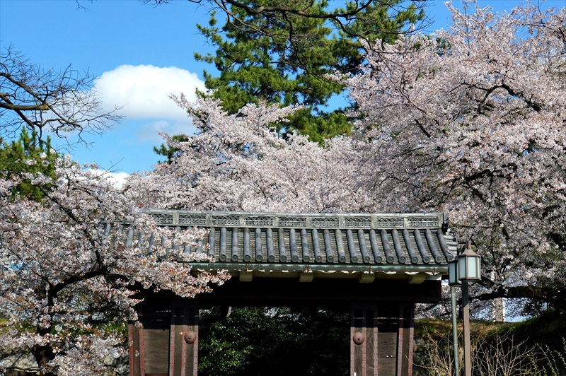 1023_名古屋城_愛知