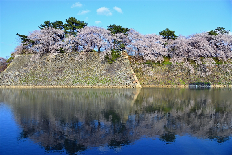 1033_名古屋城_愛知