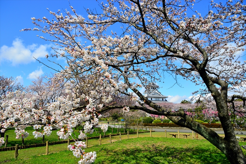 1007_6_豊公園長浜城_滋賀