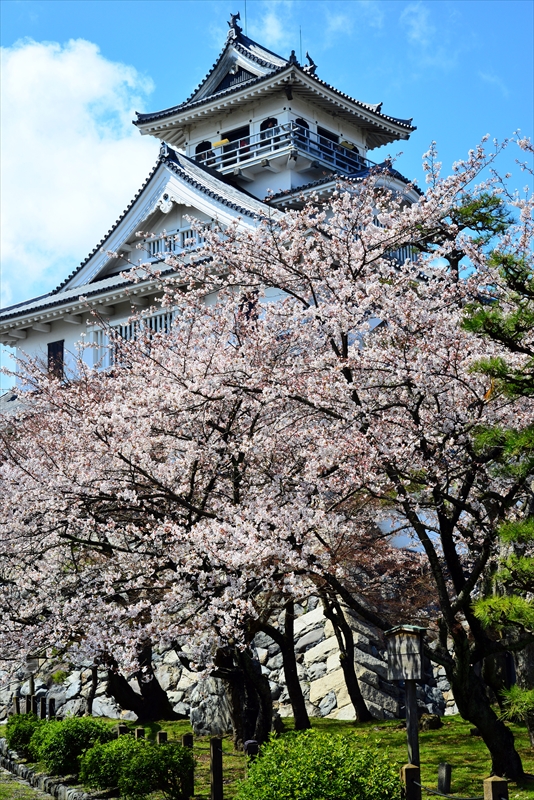 1017_6_豊公園長浜城_滋賀