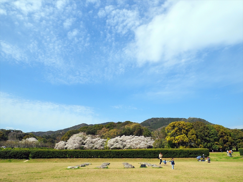 1014_大宰府政庁跡_福岡