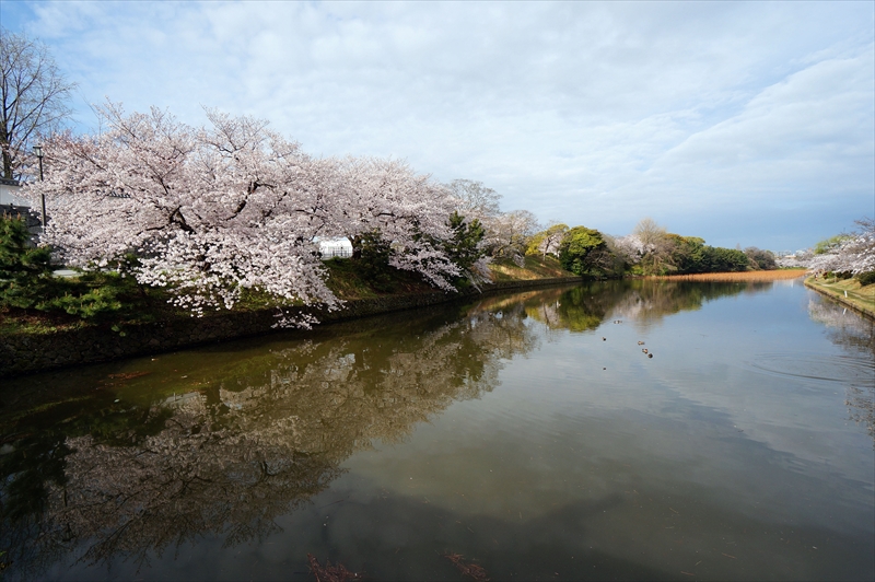 1042_福岡城跡_福岡