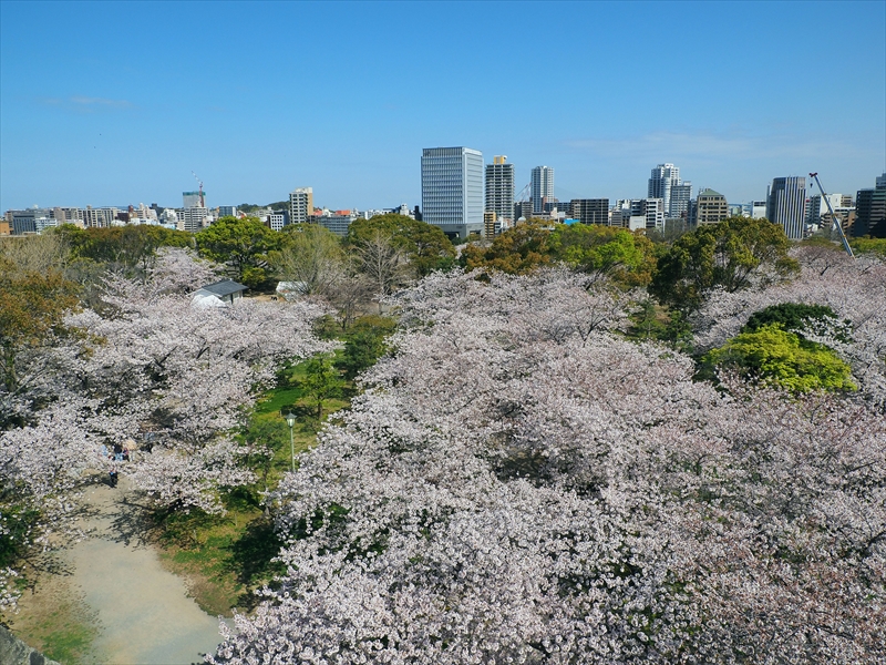 1059_福岡城跡_福岡