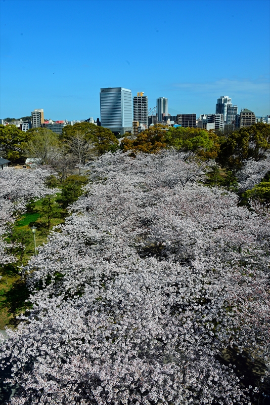 1061_福岡城跡_福岡