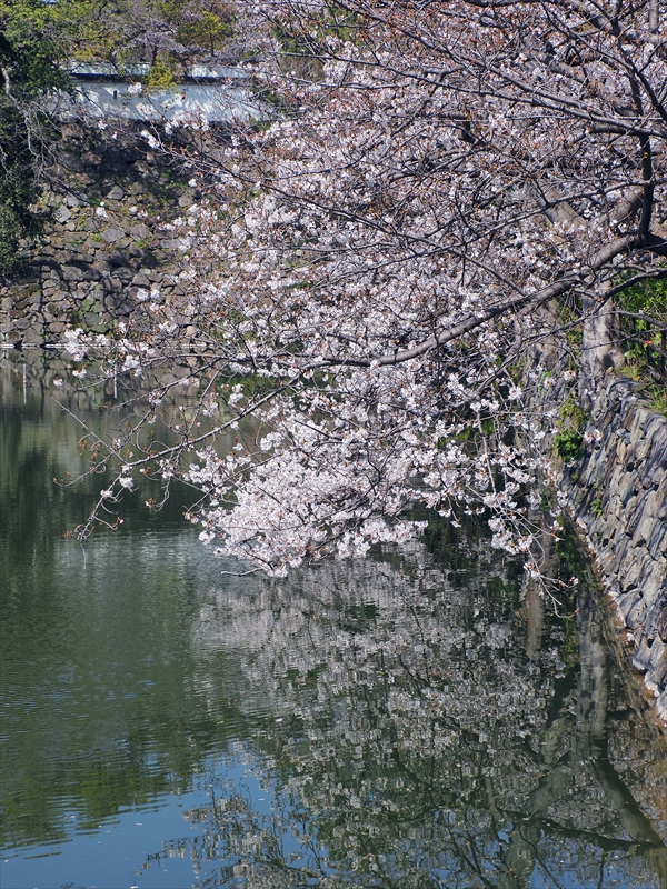 1020_小倉城_福岡