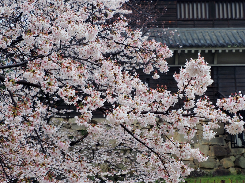 1007_広島城_広島