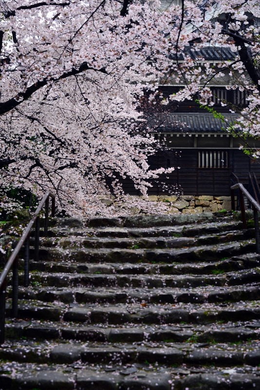 1009_広島城_広島