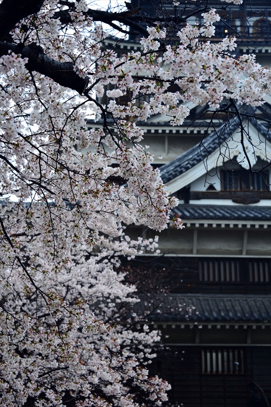 1017_広島城_広島