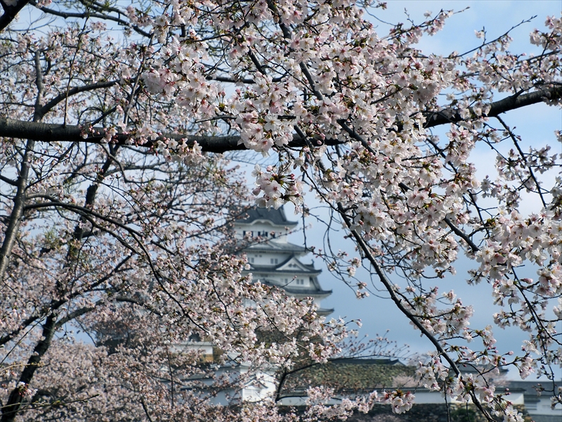 1022_姫路城_兵庫