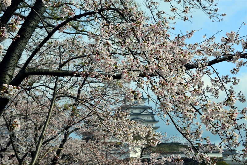 1026_姫路城_兵庫