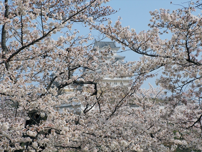 1049_姫路城_兵庫