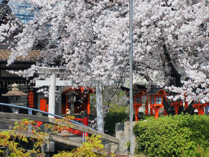 1138_洛中 六孫王神社_京都
