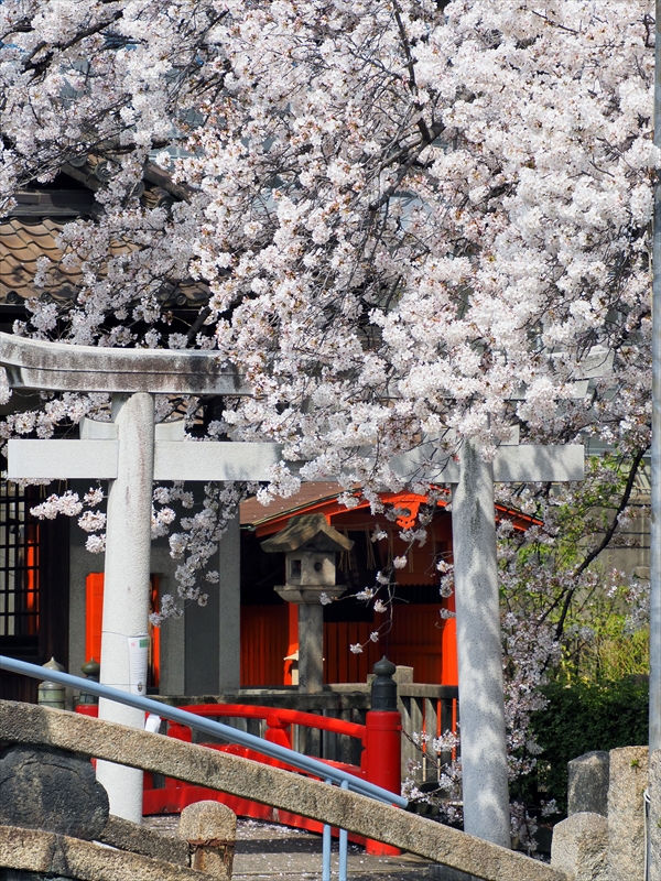 1139_洛中 六孫王神社_京都