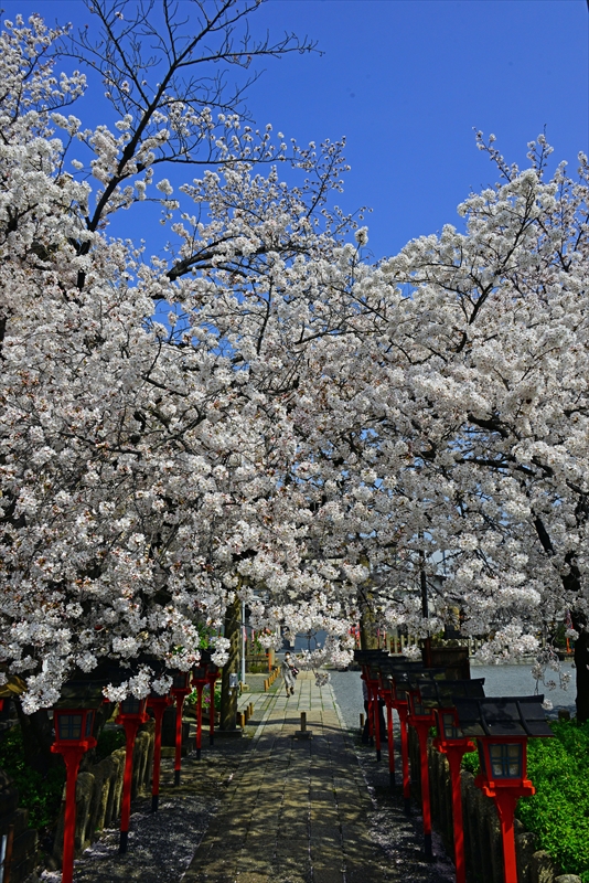 1140_洛中 六孫王神社_京都
