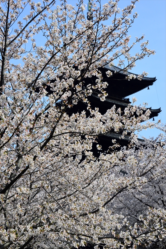 1192_洛中 東寺_京都