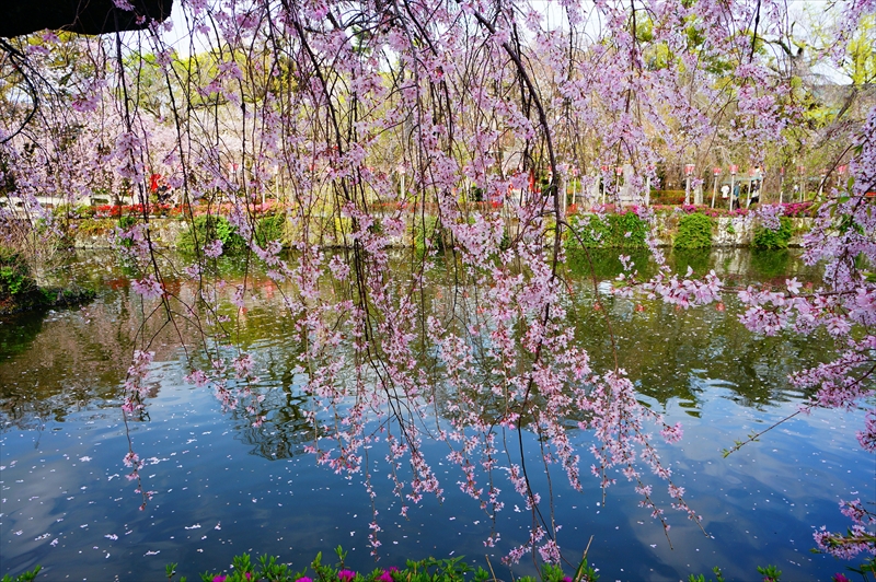 1092_三嶋大社_静岡