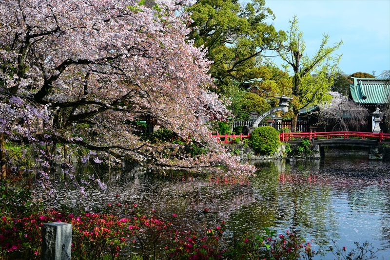 1098_三嶋大社_静岡