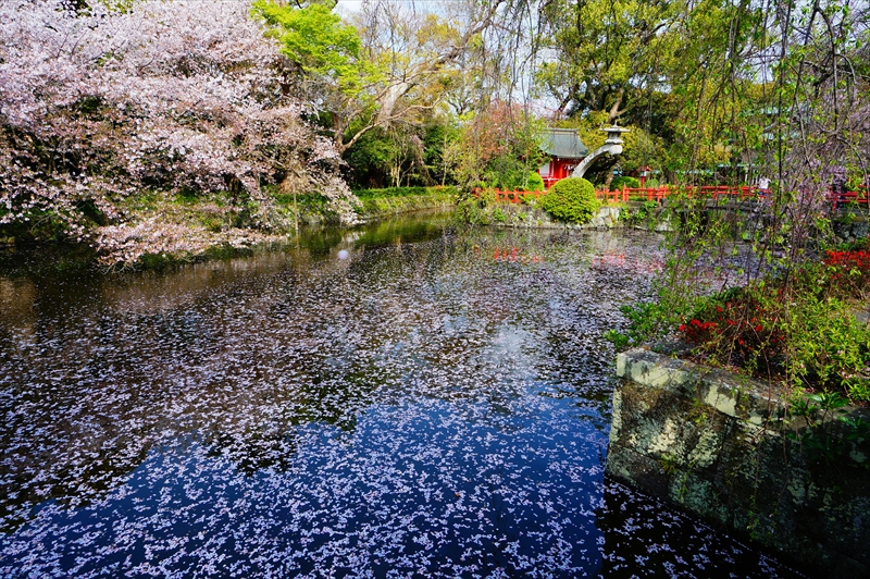 1101_三嶋大社_静岡