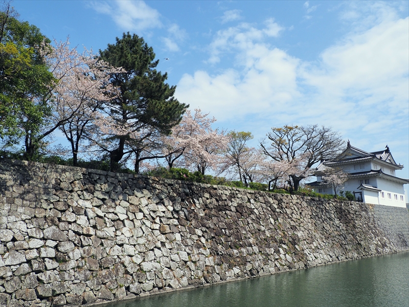 1110_駿府城_静岡