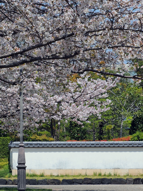 1119_駿府城_静岡