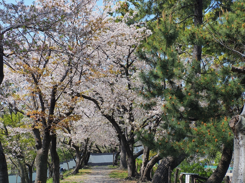 1120_駿府城_静岡