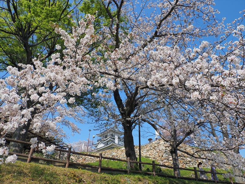 1131_浜松城_静岡