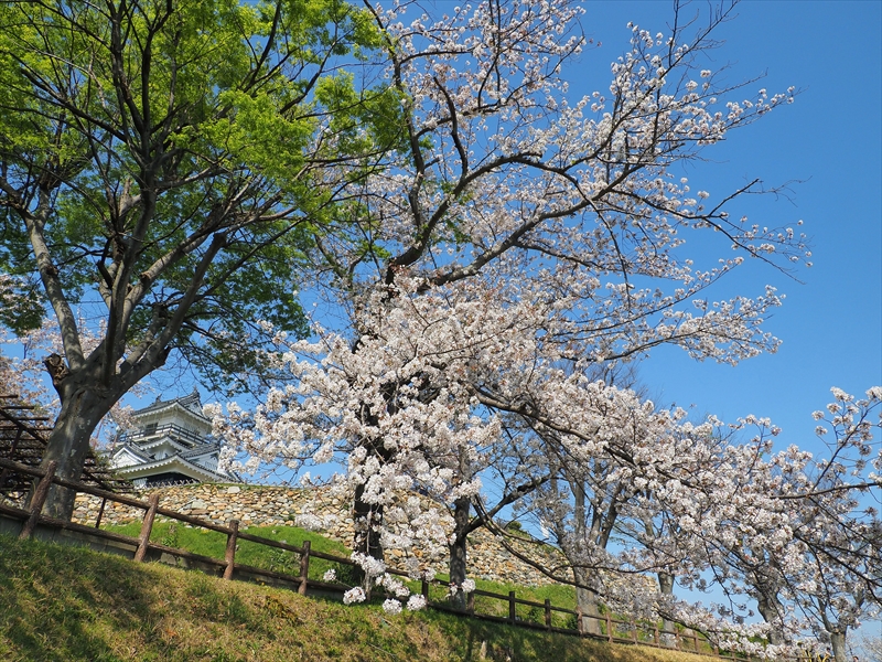 1132_浜松城_静岡
