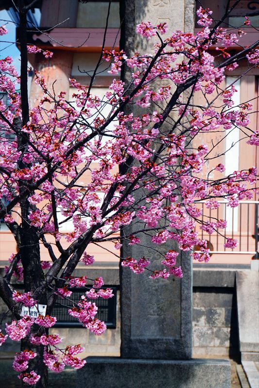 1002_四天王寺_大阪