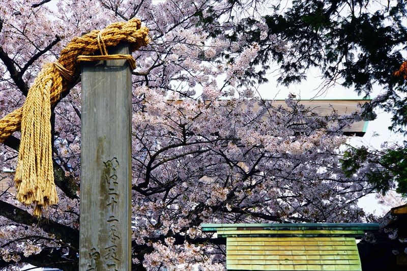 1059_伊勢山皇大神宮_神奈川