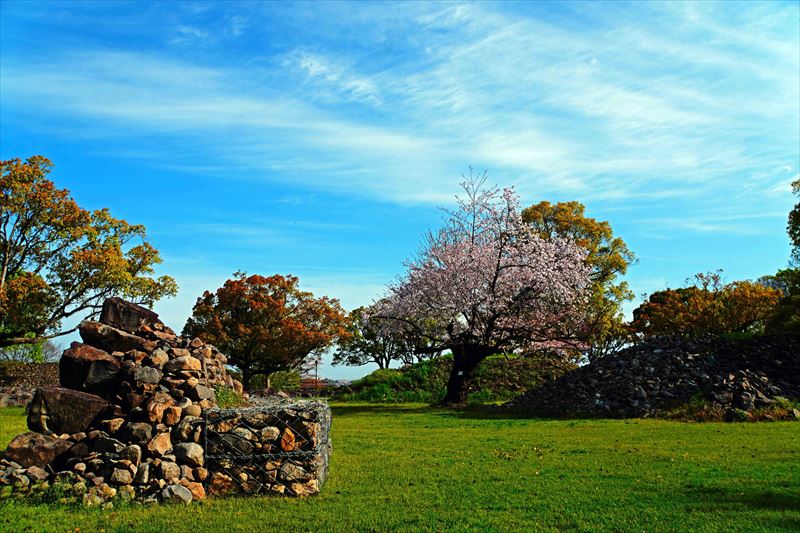 1011_熊本城_熊本