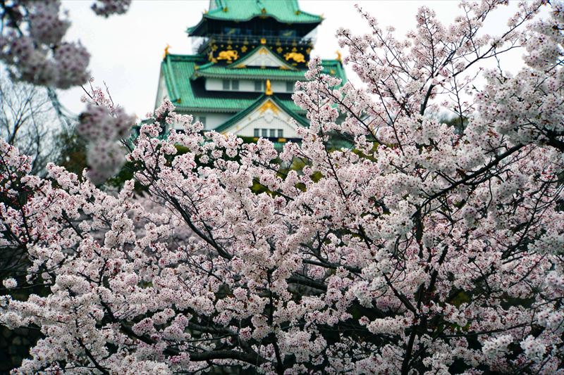 1004_大阪城_大阪