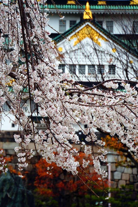 1010_大阪城_大阪