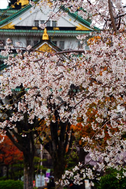 1012_大阪城_大阪