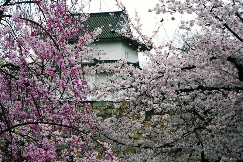 1016_大阪城_大阪