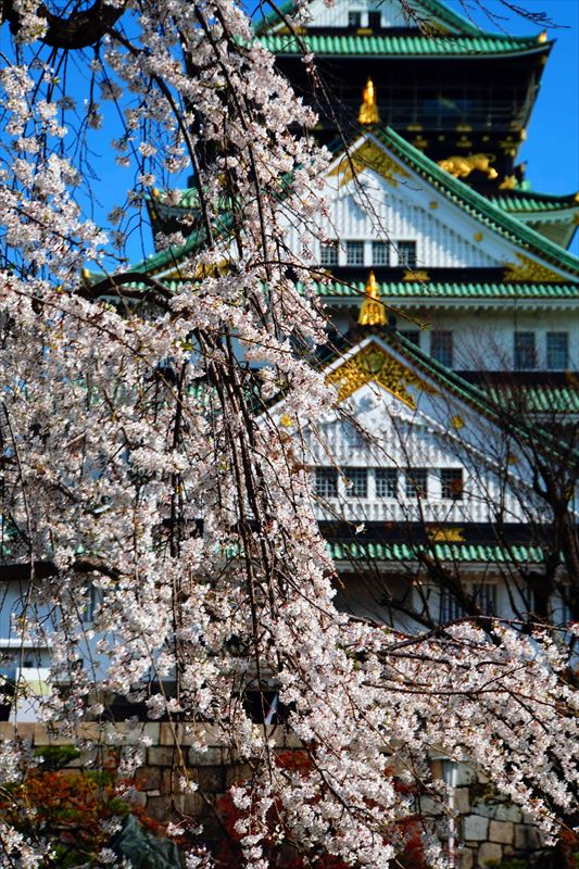 1029_大阪城_大阪