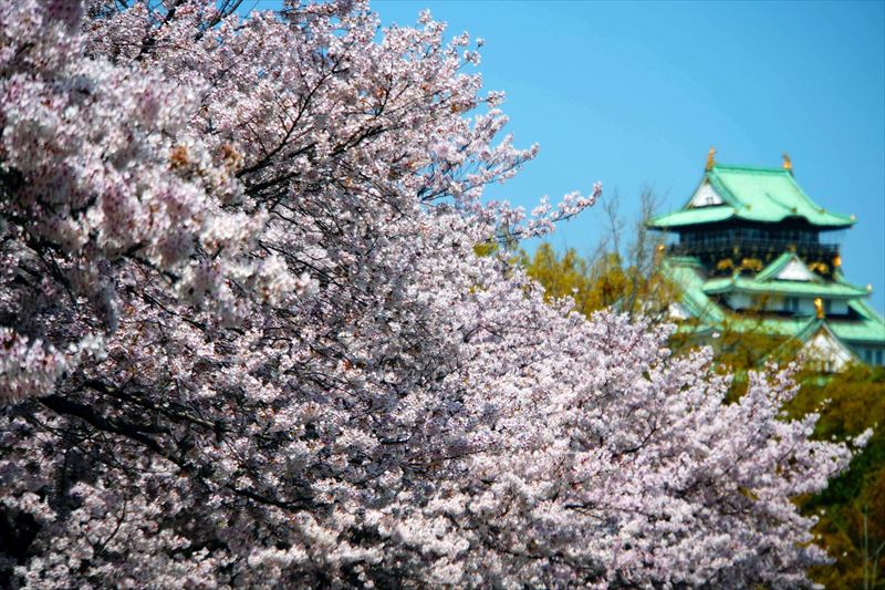1042_大阪城_大阪