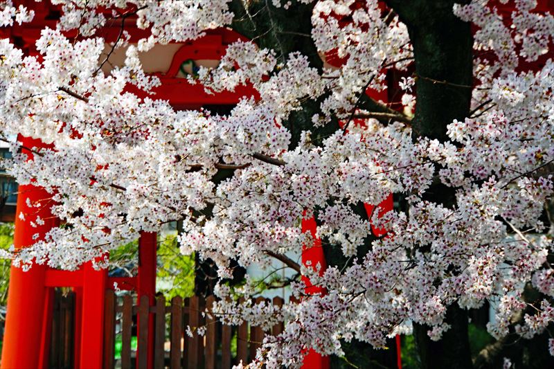 1209_洛中 蓮華王院三十三間堂_京都