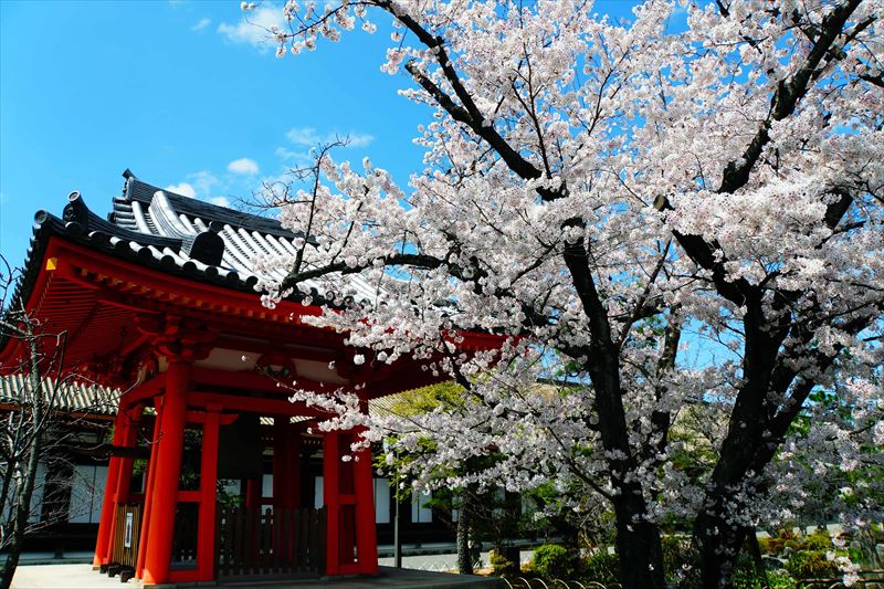 1212_洛中 蓮華王院三十三間堂_京都