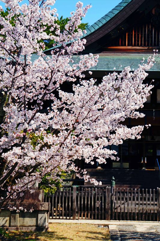 1002_洛東 豊国神社豊国廟_京都