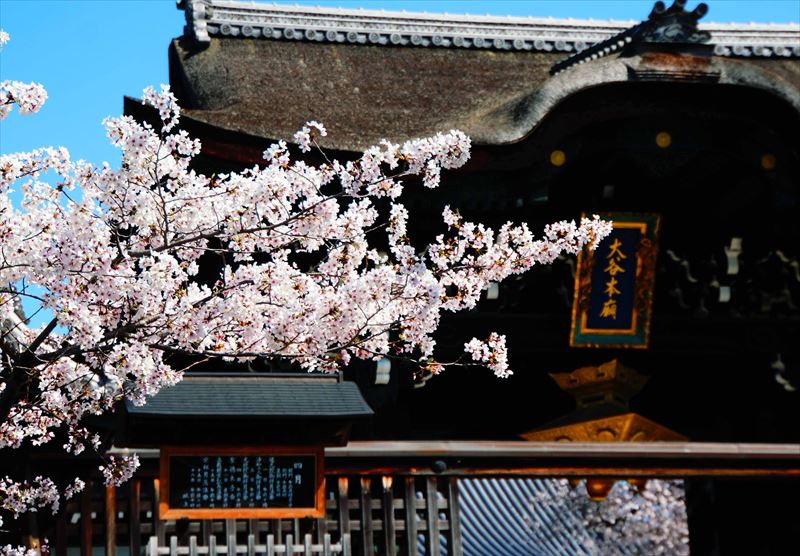 1020_洛東 大谷本廟_京都