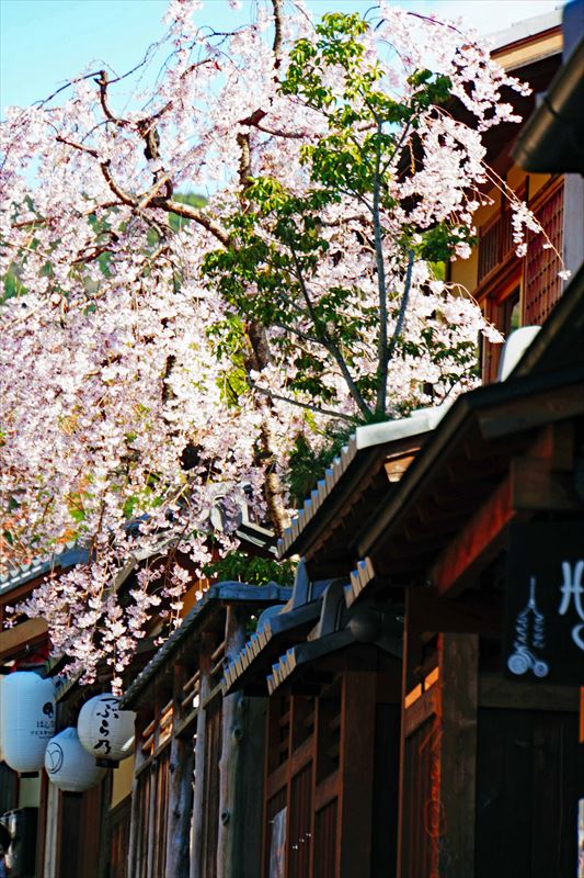 1010_洛東 二寧坂_京都