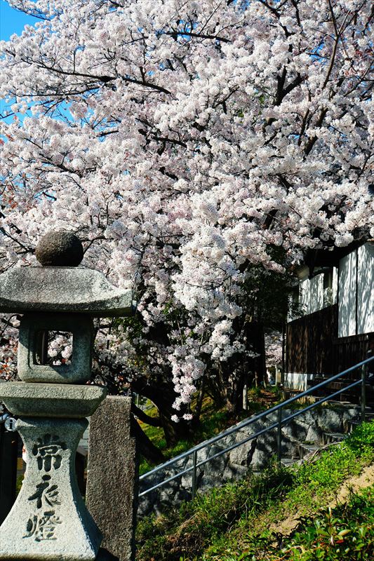 1012_洛東 二寧坂_京都