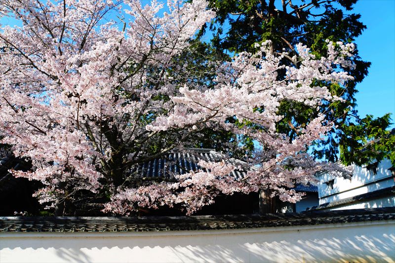 1046_洛東 南禅寺_京都