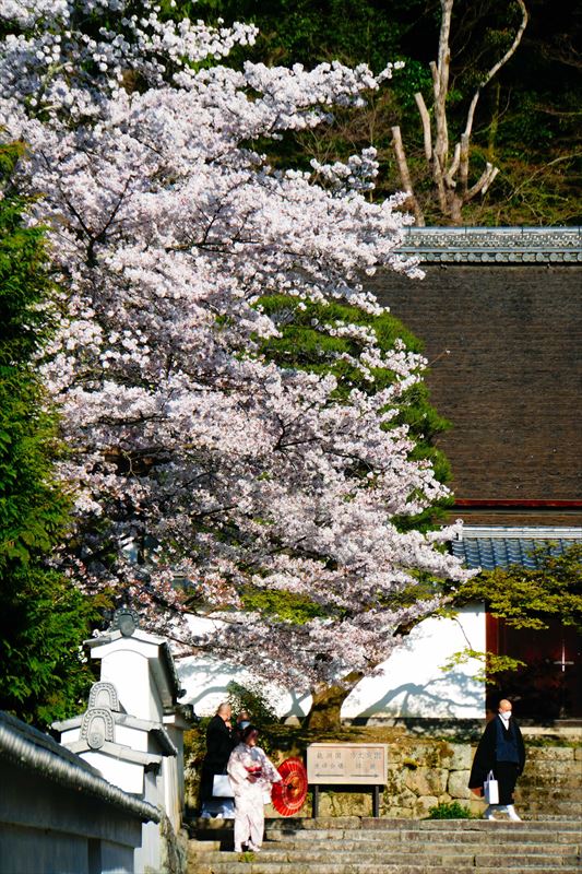1047_洛東 南禅寺_京都