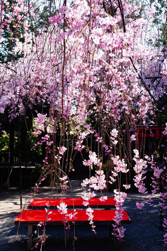 1073_洛中 水火天満宮_京都