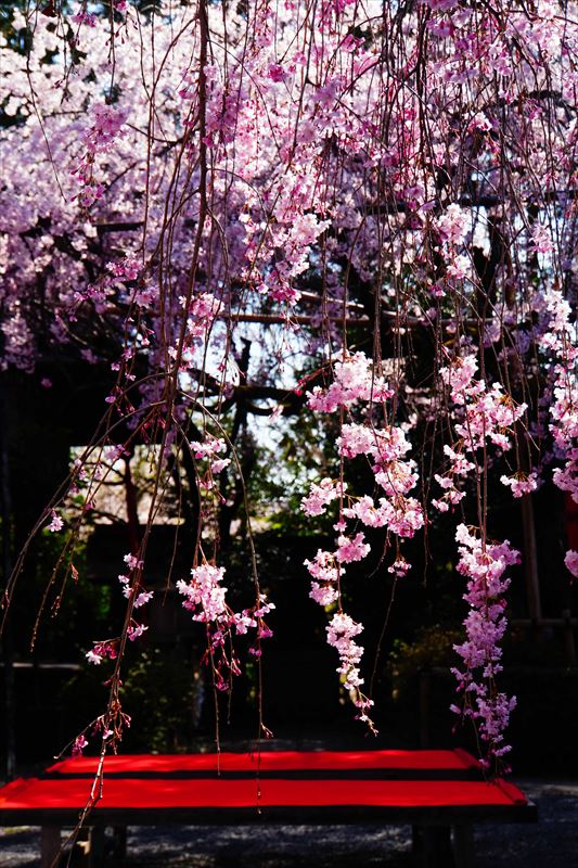 1074_洛中 水火天満宮_京都