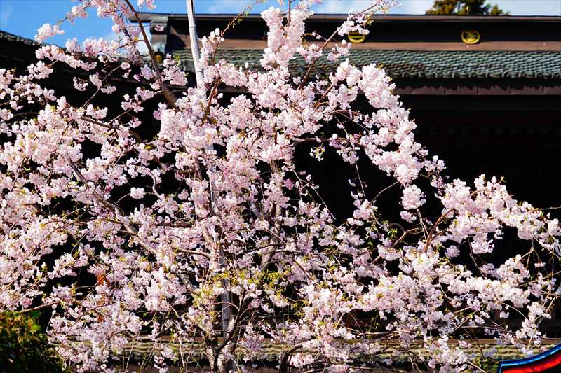 1020_大善寺_山梨