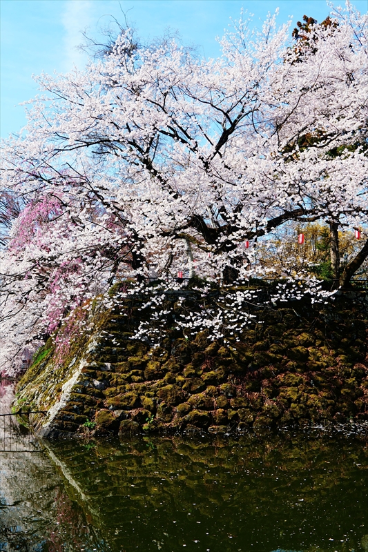 1118_高島城_長野